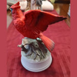 Cardinal-Music-Box-2